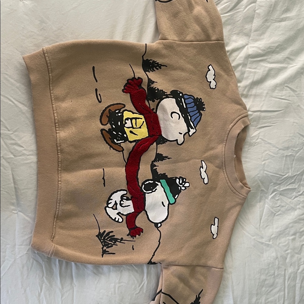 Zara Beige Knit Sweater